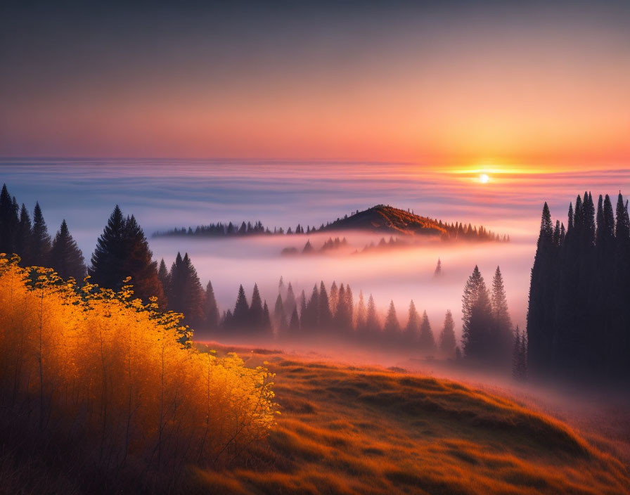 Tranquil sunrise landscape with fog, glowing sun, silhouetted trees, and vibrant foliage