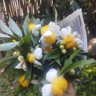 Lush garden scene with white and yellow flowers