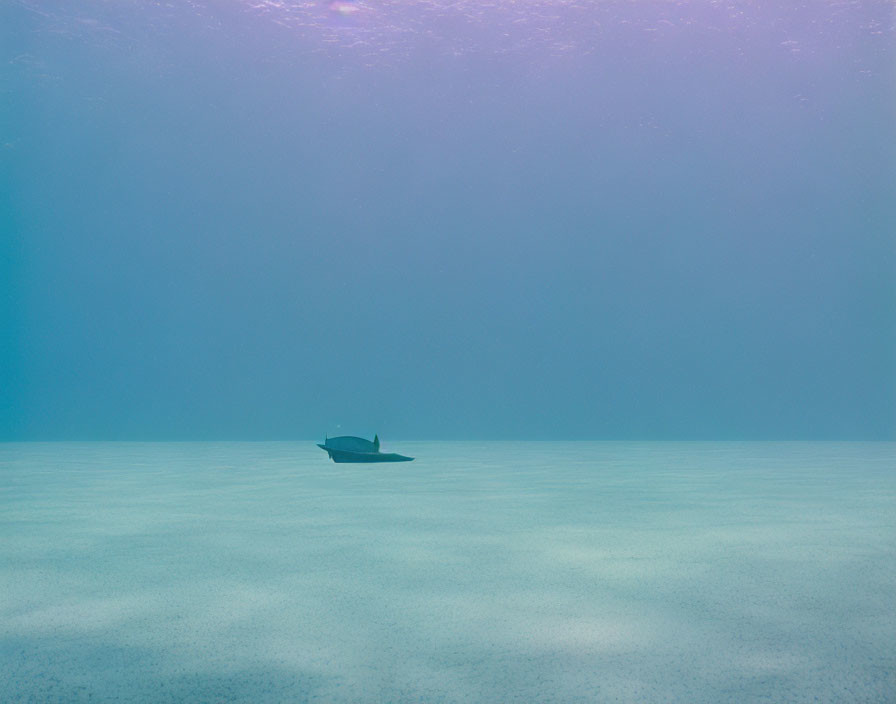 Minimalist Landscape: Boat on Tranquil Sea and Pastel Sky