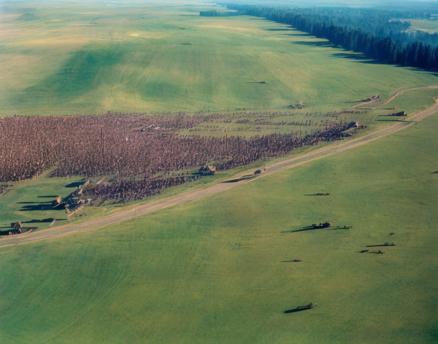 Lush Green Fields with Trees, Cloud Shadows, and Winding Dirt Road