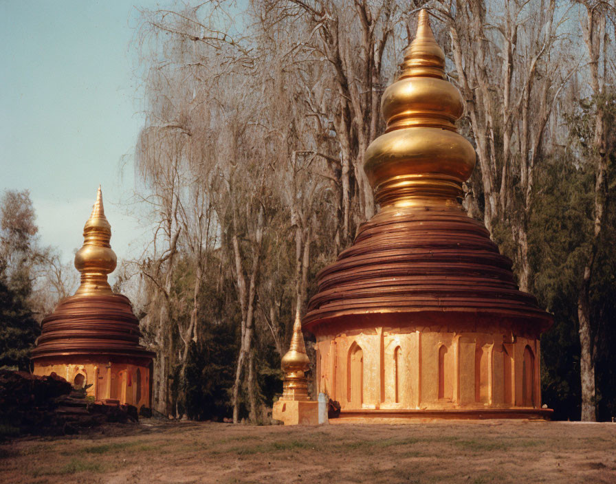 Traditional golden stupa structures in serene temple setting surrounded by trees