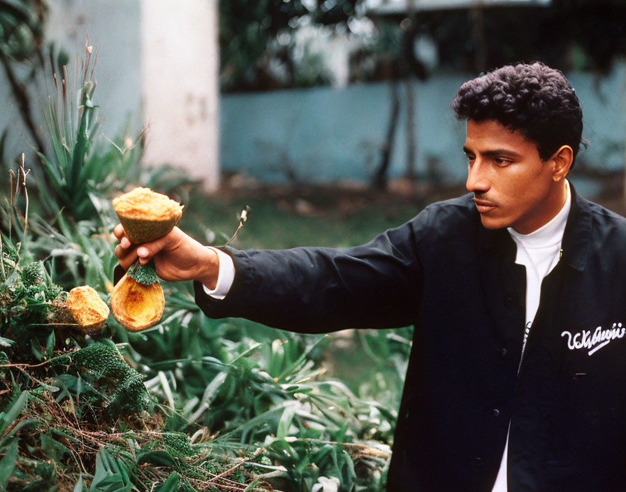 Man examining cacao fruit halves in lush green setting