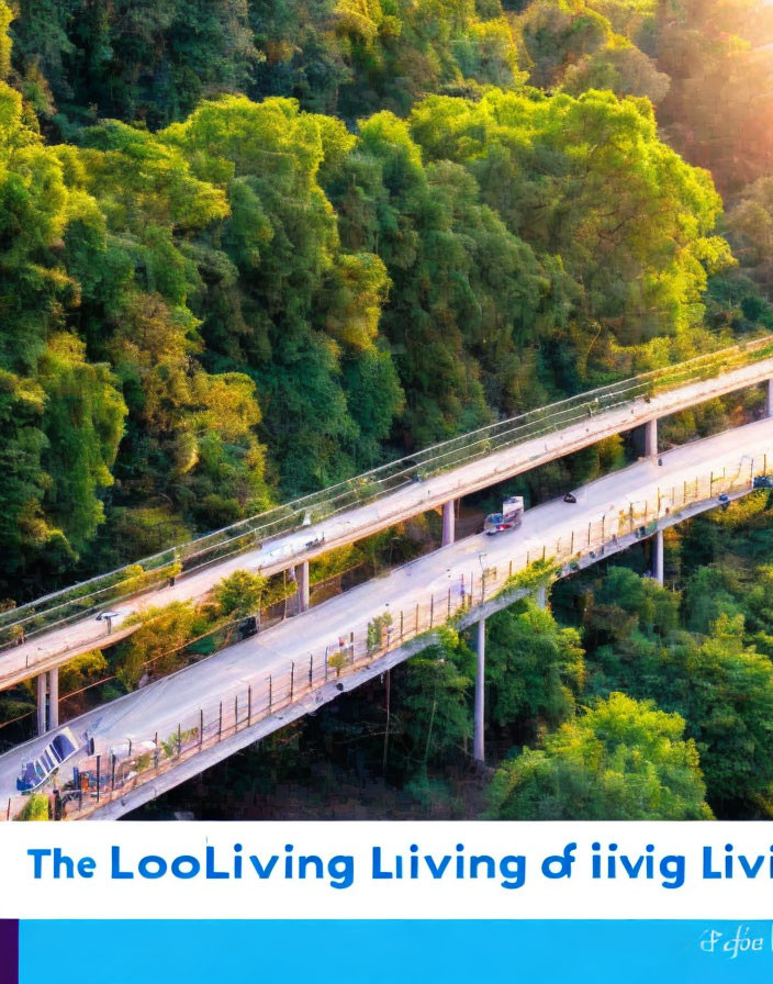 Single Vehicle on Bridge Surrounded by Green Forest