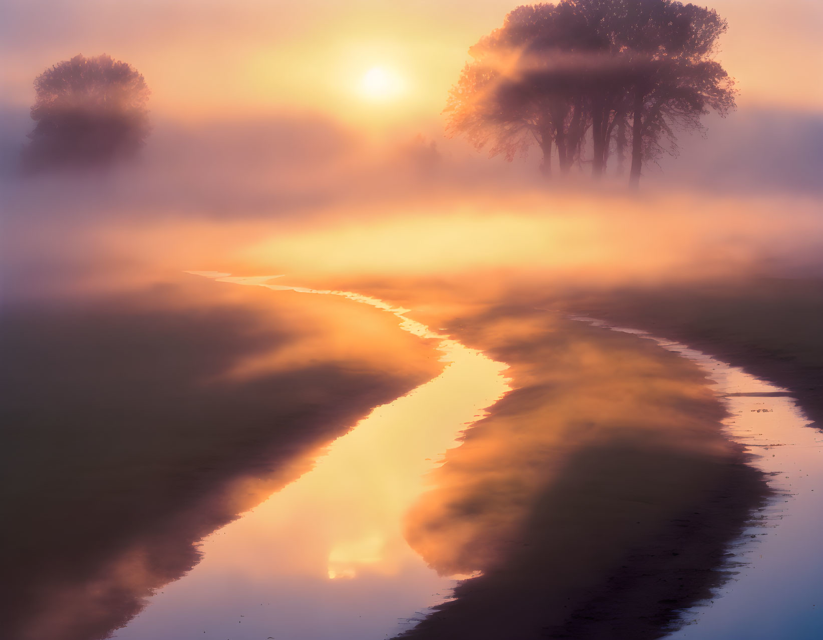 Misty Sunrise with Golden Light over Stream and Silhouetted Trees