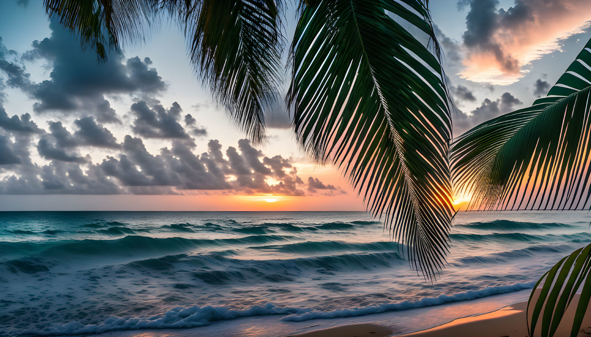 Tropical beach sunset with palm leaves and colorful sky