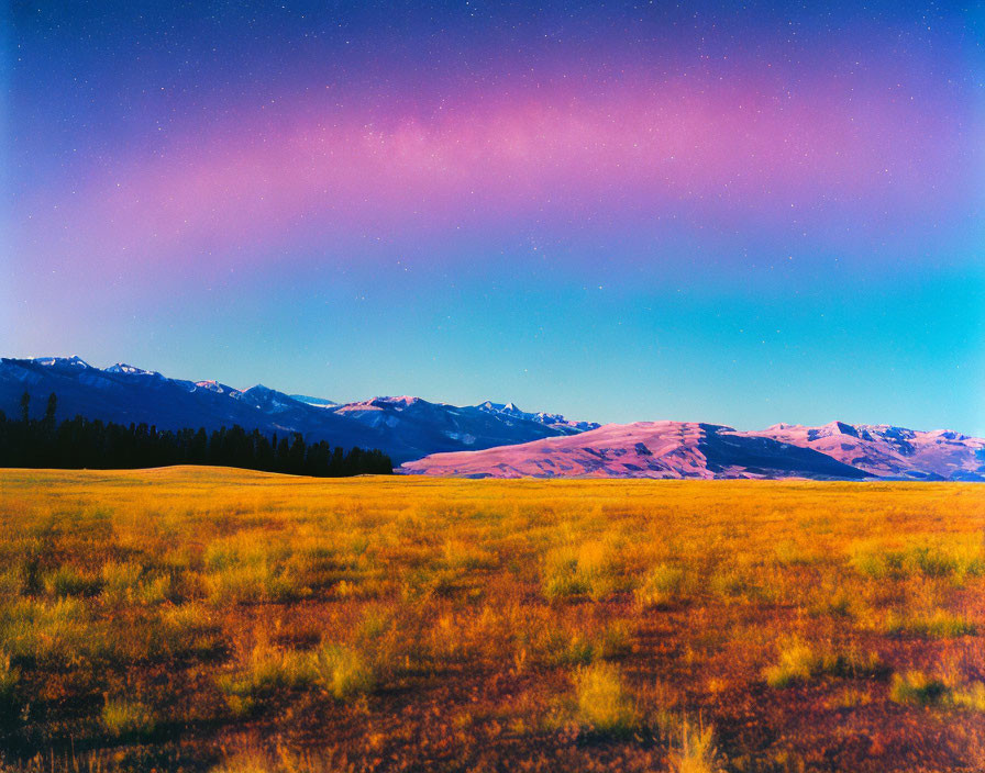 Vibrant Twilight Sky Over Golden Field and Snow-Capped Mountains