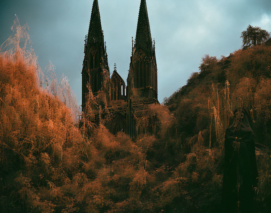 Cloaked figure in overgrown field near gothic cathedral at twilight