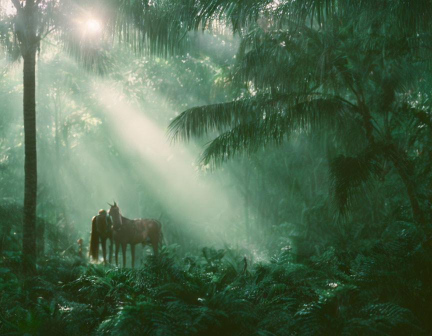 Tropical Forest Scene: Sunbeams, Horses, Green Foliage