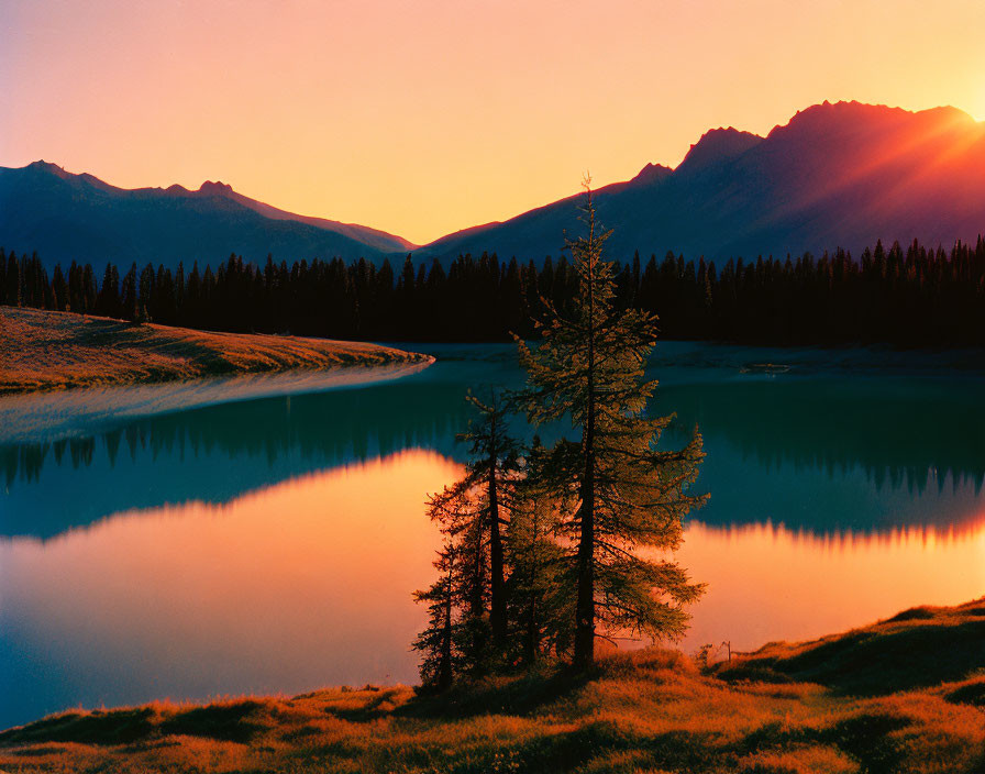 Serene mountain lake at sunset with evergreen tree reflections