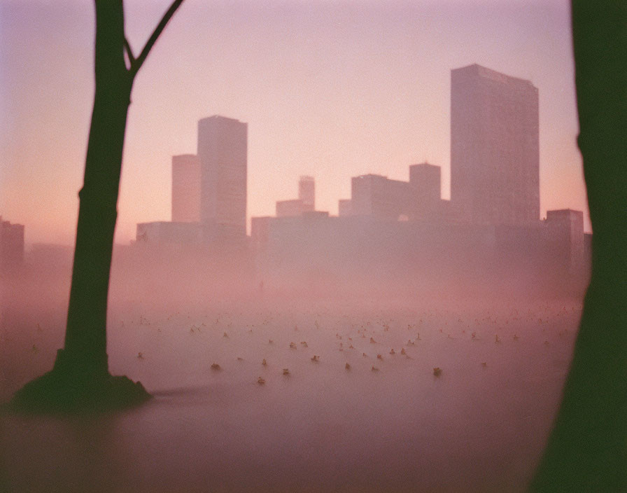 Silhouetted cityscape with tree against pinkish sky