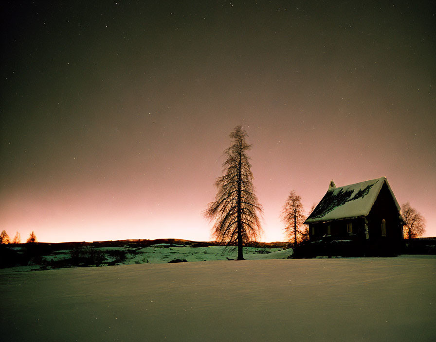 Snow-covered house under starlit sky with warm glow and bare tree