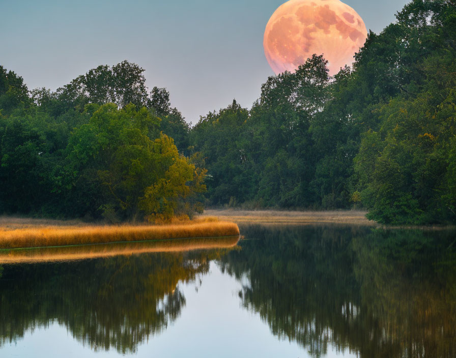 Tranquil landscape with radiant moon over river and lush trees