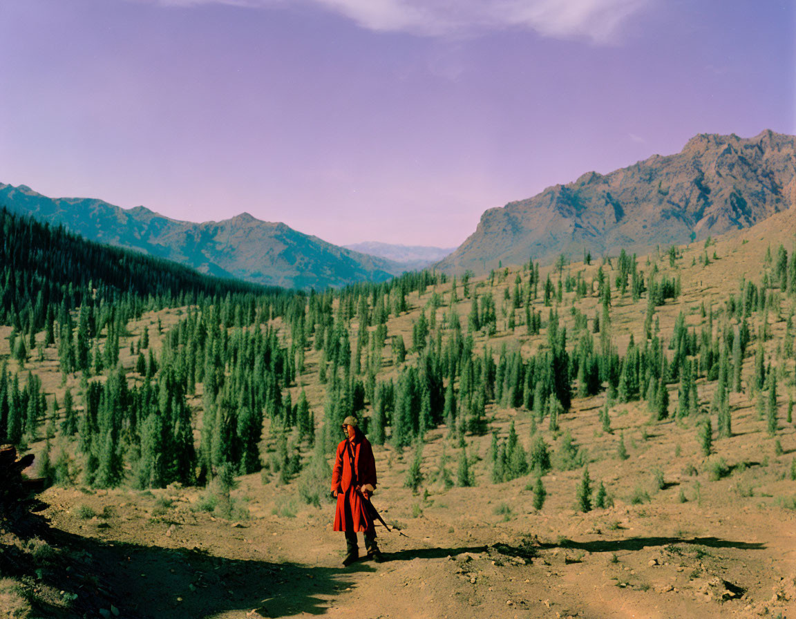 Person in Red Coat on Mountain Trail Amidst Forest and Hills