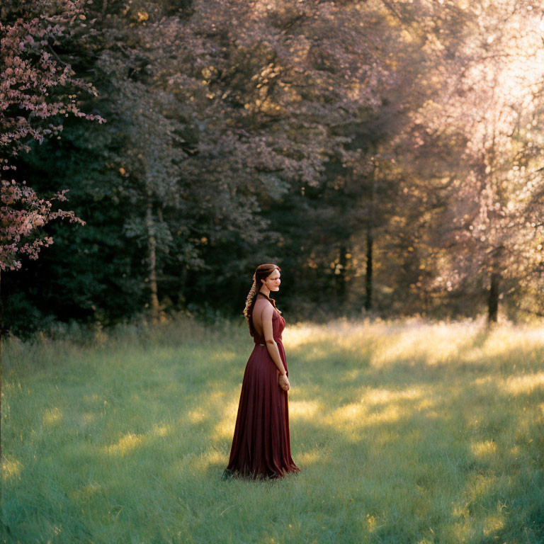 Woman in Burgundy Dress Standing in Sunlit Field