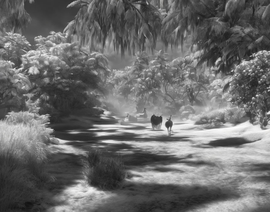 Monochrome snowy landscape with horses and riders in serene setting