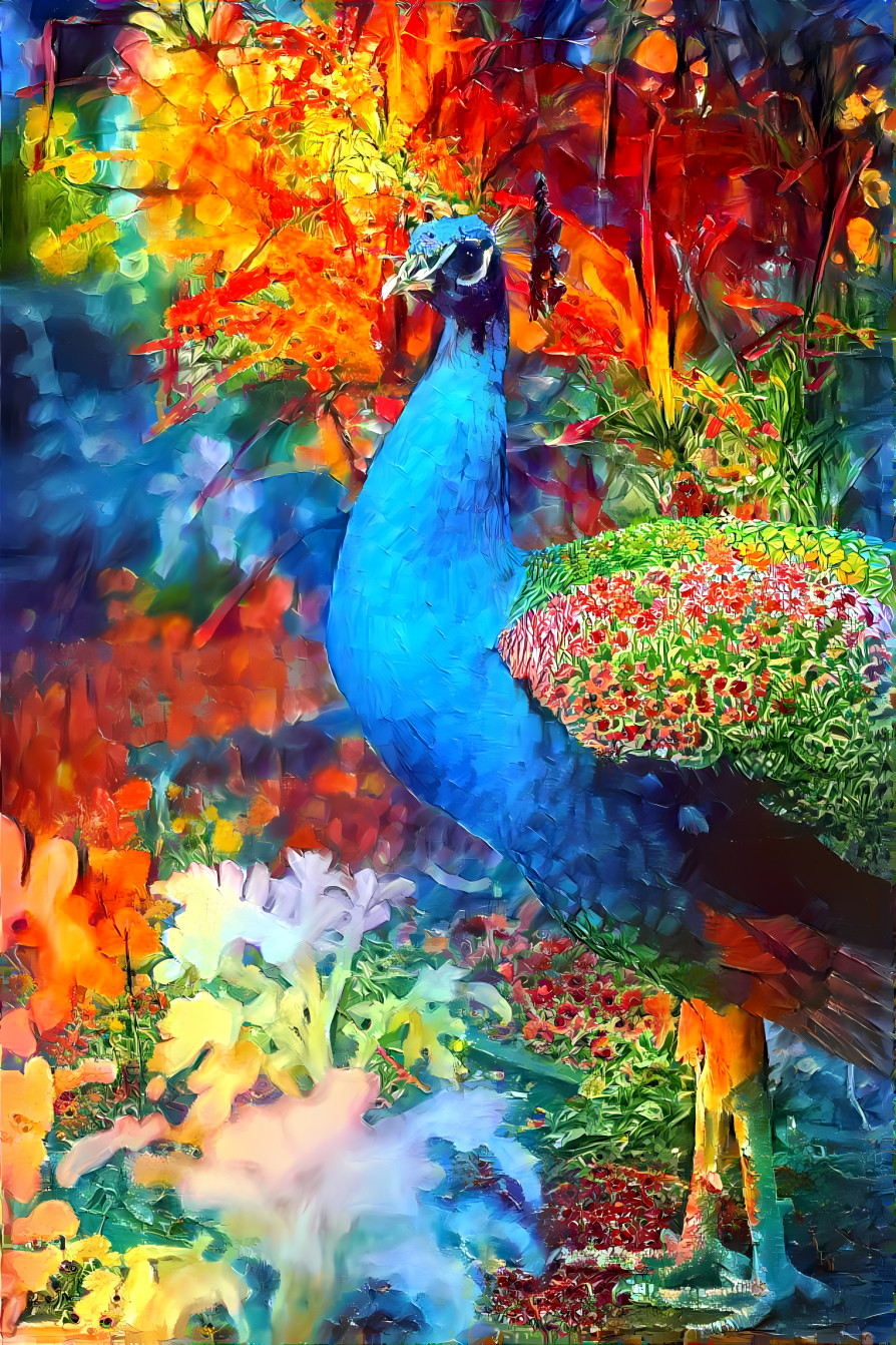 Dr. Peacock