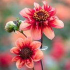 Colorful Stained Glass-Style Illustration of Pink and Orange Flowers