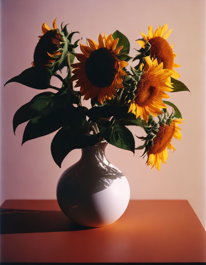 Vibrant sunflower bouquet in white vase on pink background