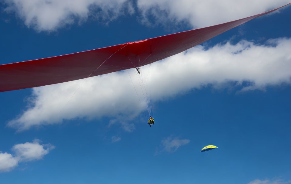 Paragliders soaring under clear blue sky with fluffy clouds