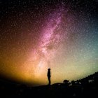 Person and dog admire vibrant night sky with stars and nebulae