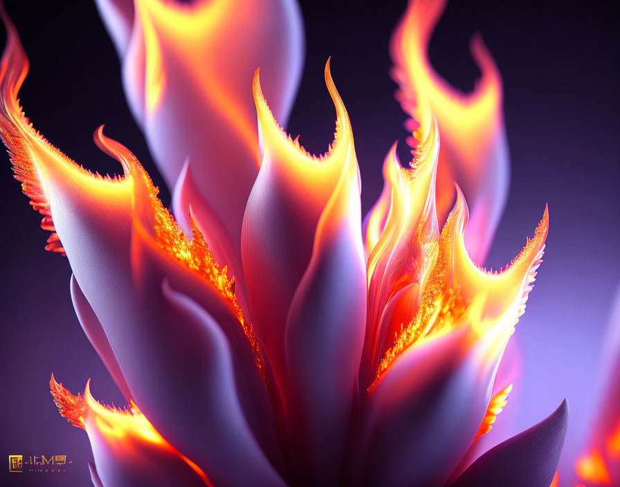 Vibrant digital artwork: Glowing orange and purple flame-like petals on dark background