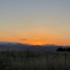 Knight on Horseback Riding Through Tranquil Sunrise Field