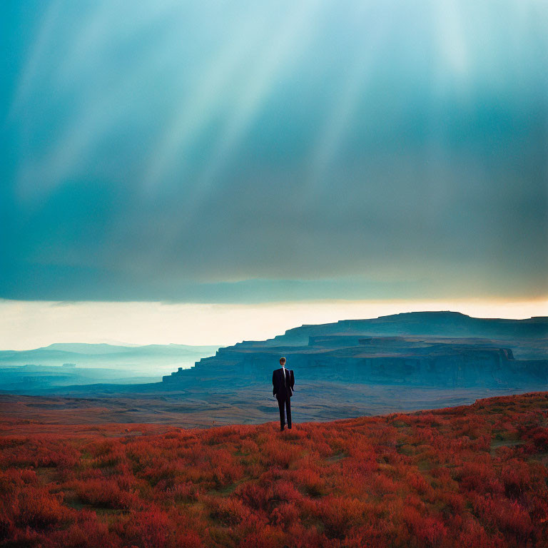 Person in suit in red foliage field overlooking canyon under blue sky