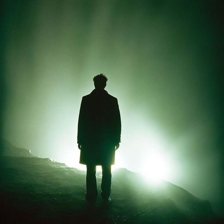 Mysterious Silhouetted Figure in Foggy Setting