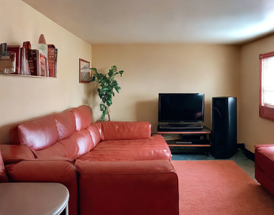 Cozy living room with red sofa, television, green plant, and bookshelves on yellow wall