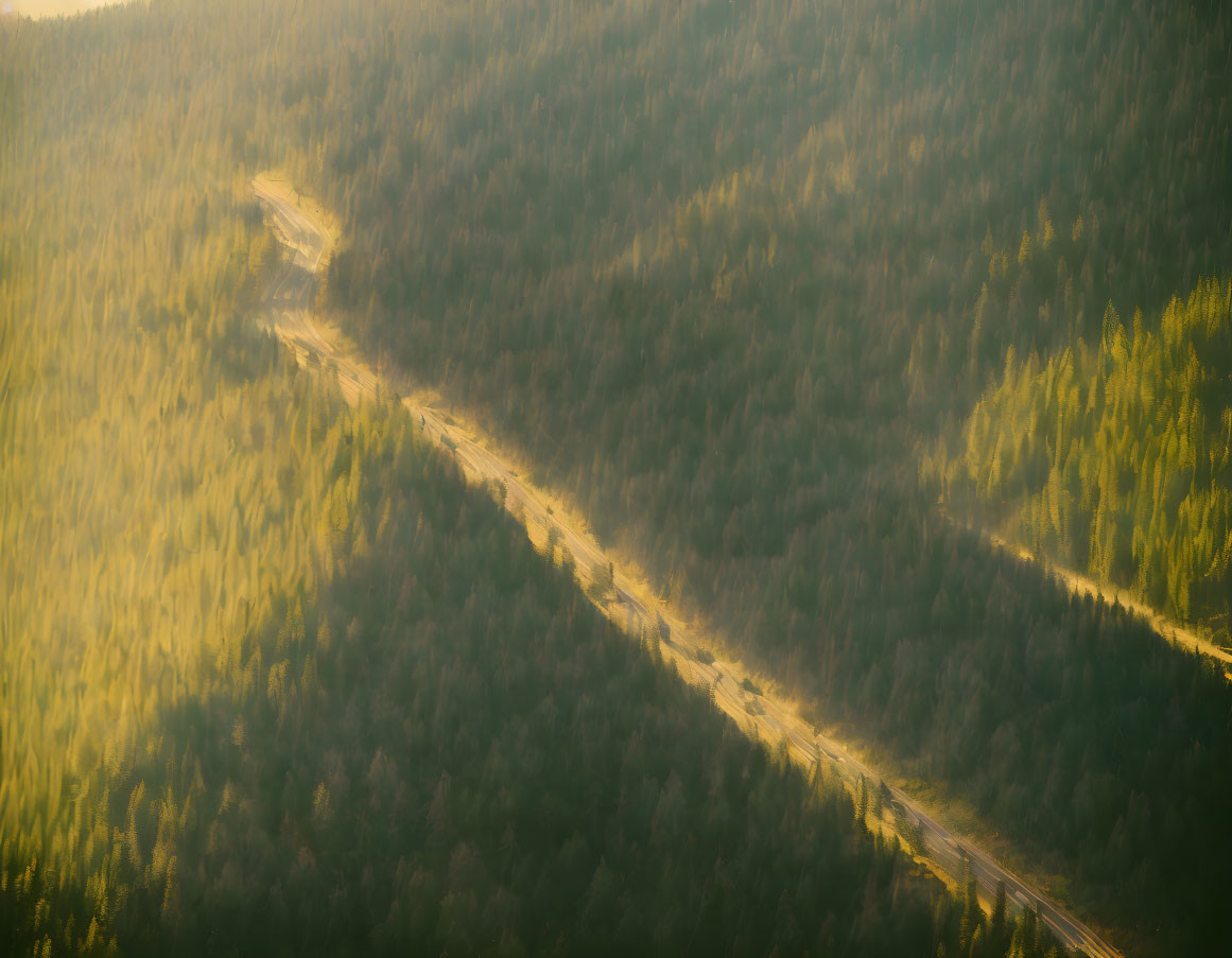 Scenic aerial view of winding road in dense forest with sunlight glow