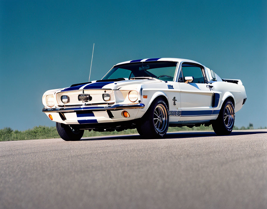 Classic Blue and White Striped Shelby Mustang GT350 Parked on Road