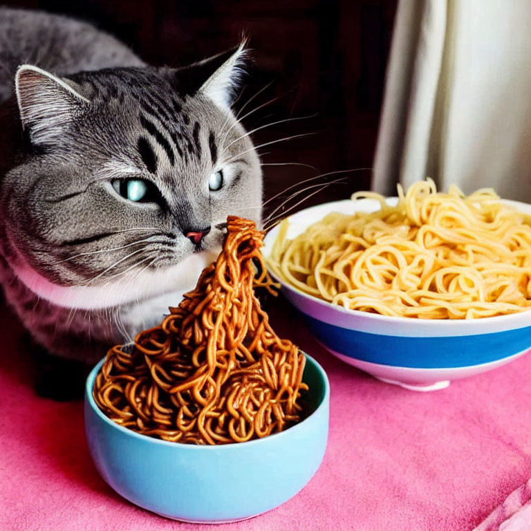 Gray cat with blue eyes next to fork and spaghetti on pink surface