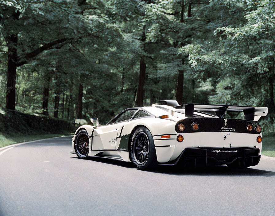 White Ferrari Enzo Supercar with Black Trim on Forest-Lined Road