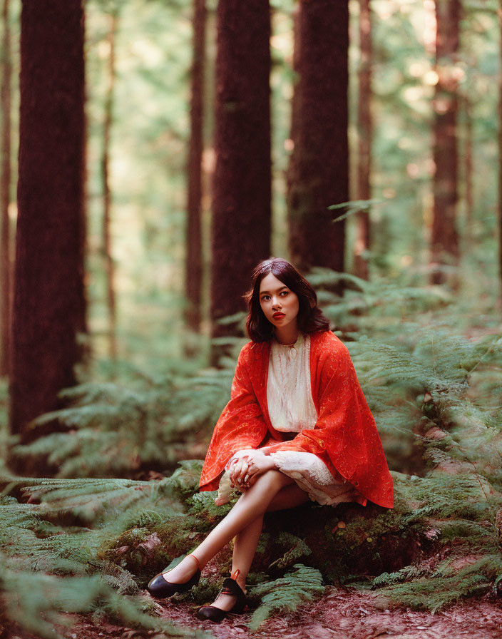 Person in Red Cape and White Dress Sitting in Forest Among Ferns and Tall Trees