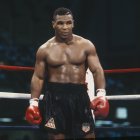 Muscular tattooed boxer in red gloves ready for match