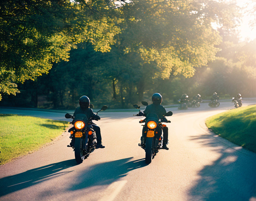 Motorcyclists on sunlit road with bikers in lush greenery