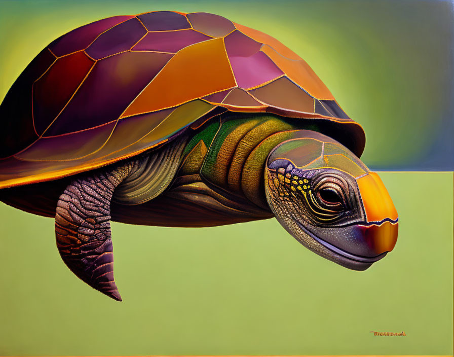 Colorful Turtle Painting on Green Gradient Background