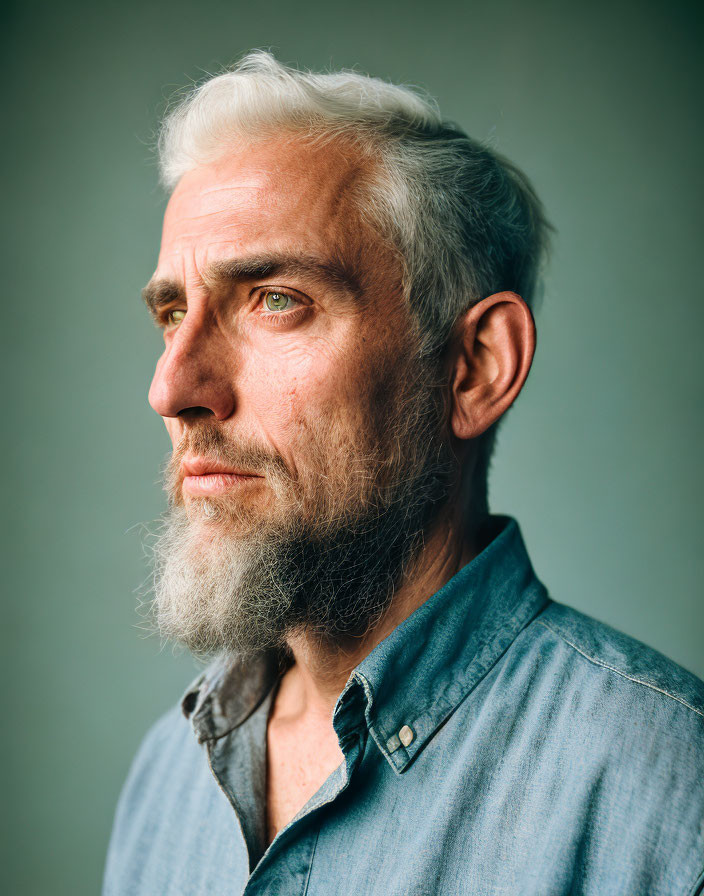 Pensive Man with Gray Beard and Blue Shirt Portrait