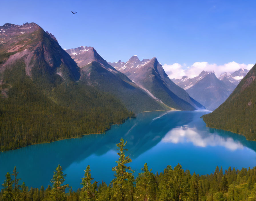 Majestic mountains, turquoise lake, lush green pines, and a solitary bird in clear sky