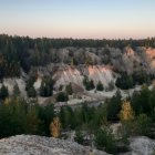 Vibrant sunset illuminates sandy dunes with pine trees, casting contrasting shadows