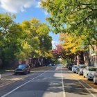 Illustration: Classic cars, carriages, cobblestone street, old buildings, autumn trees