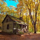 Rustic cabin in autumn forest with mountain backdrop