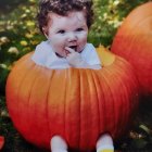 Blue-eyed baby in orange pumpkin with mini pumpkins, holding stem