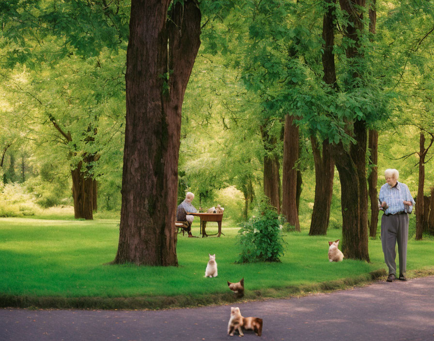 Elderly Person, Cats, and Bench in Tranquil Green Park