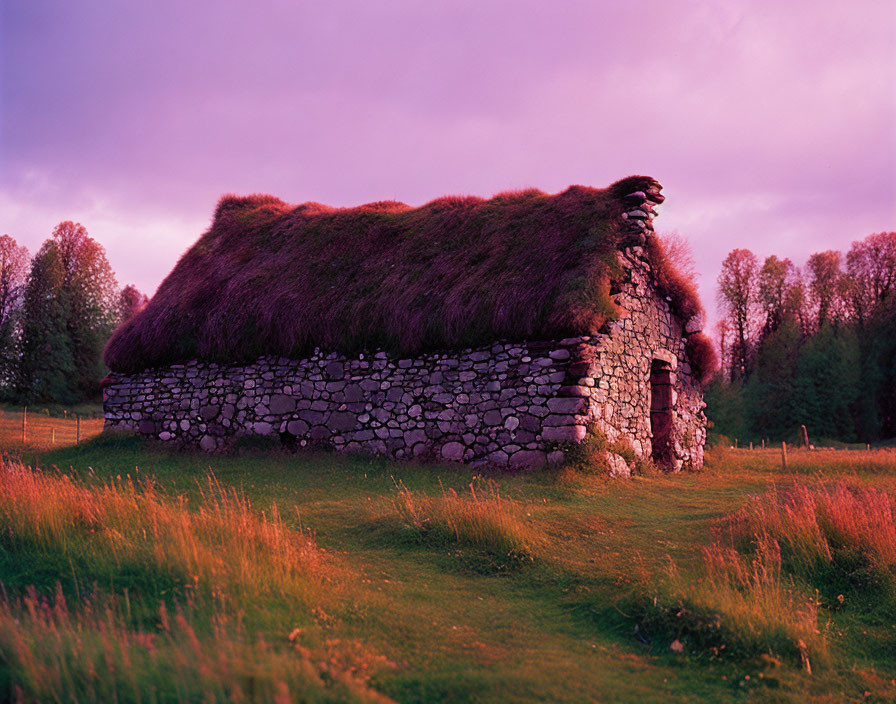 Thatched Roof Stone Cottage Surrounded by Colorful Grasses at Dusk