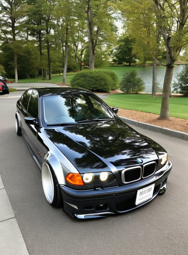 Black BMW car parked by calm lake and green trees on roadside