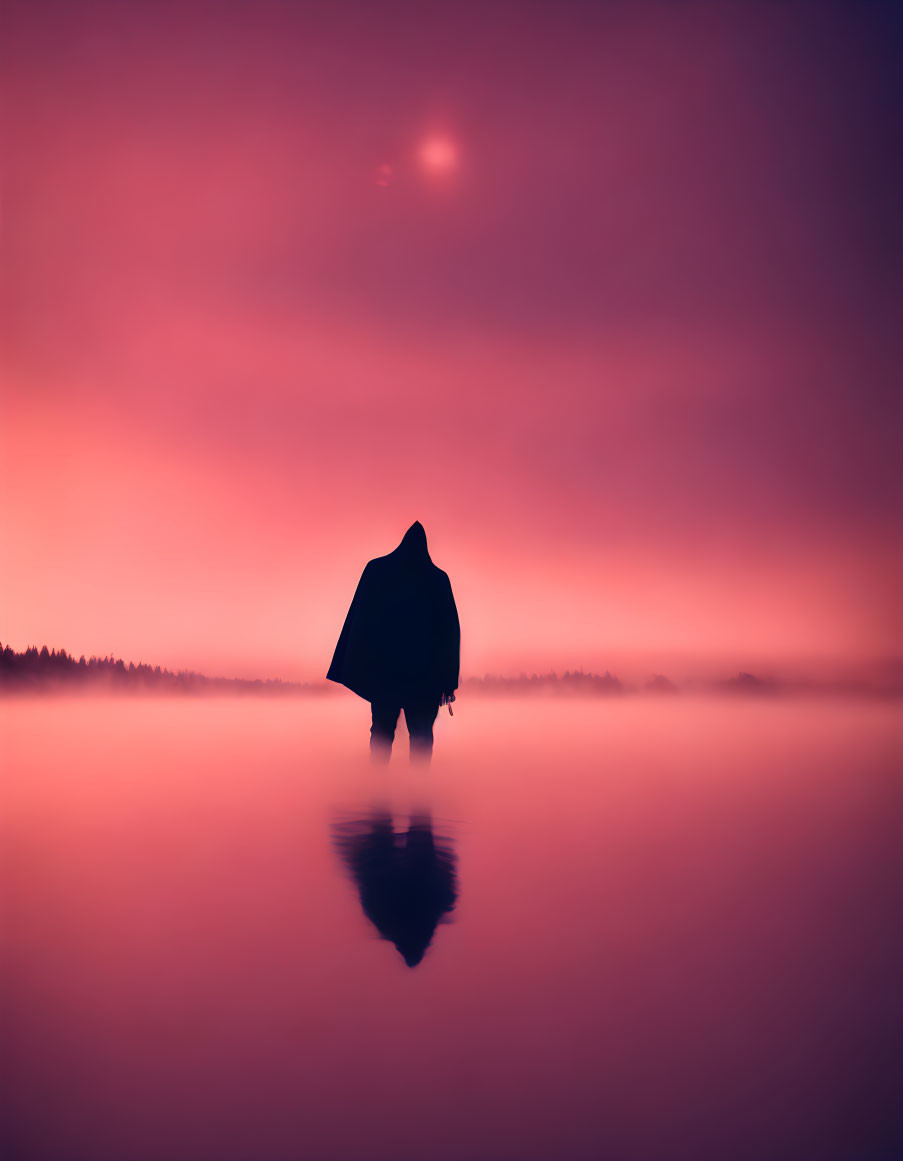 Silhouette of cloaked figure in water under pink and purple sky