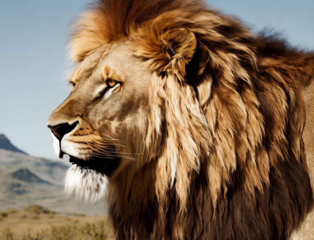 Majestic lion with full mane against scenic backdrop