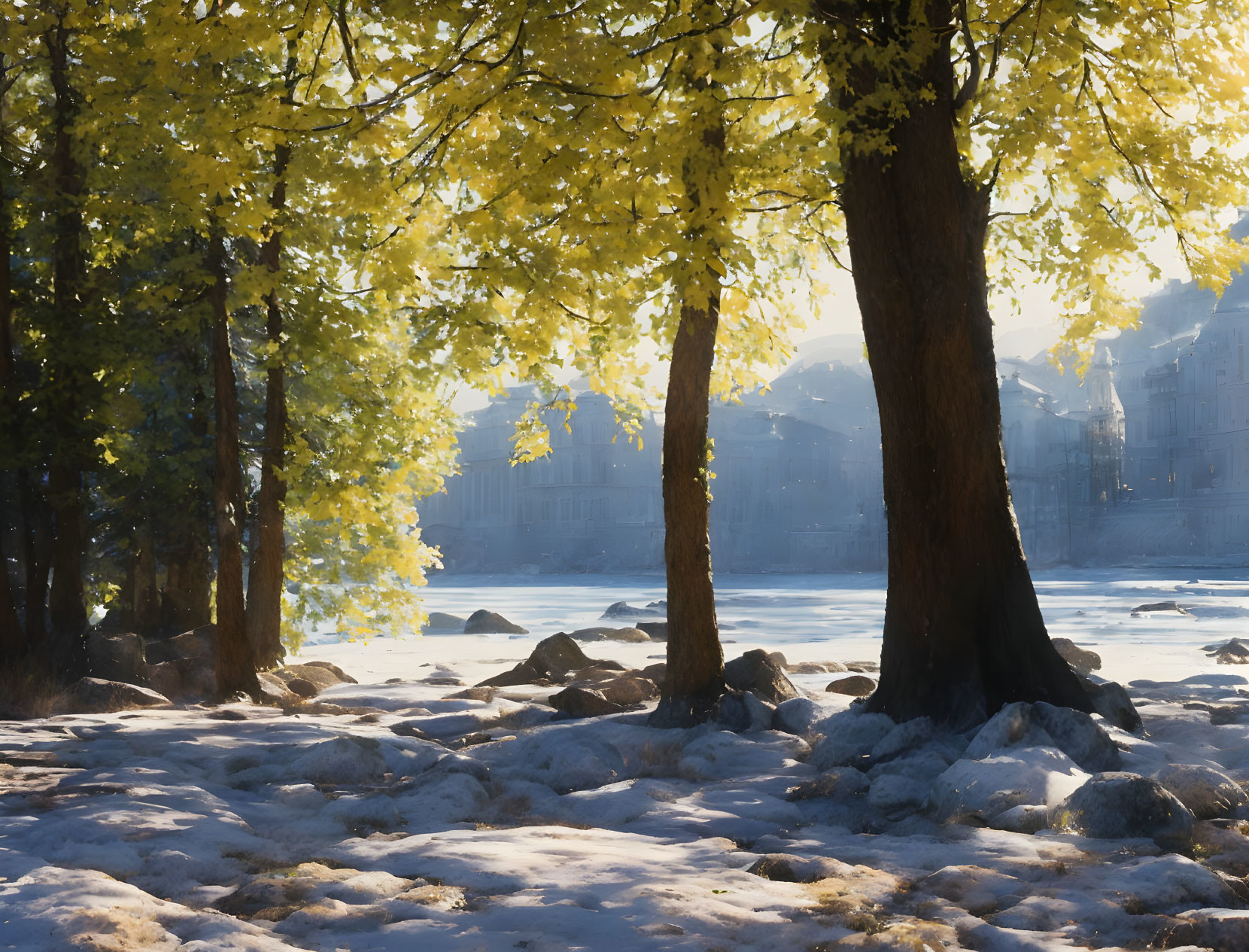 Golden Leaves of Trees in Melting Snow with Faint Buildings in Background