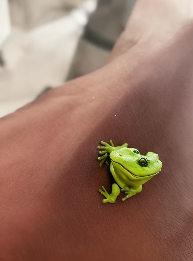 Small Green Frog Perched on Person's Arm with Blurred Background